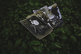 老,釀酒,復古