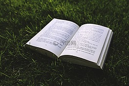 書,草,綠色