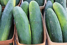 黃瓜,綠色,蔬菜