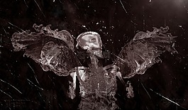 頭骨,心臟,死亡