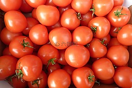 蕃茄,紅色,蔬菜