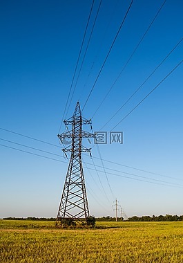 電源線,草,字段