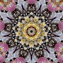抽象藝術,紋理,曼陀羅