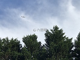 天空,飛機(jī),樹