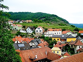 weissen家家庭经营的酒店,下奥地利州,景观