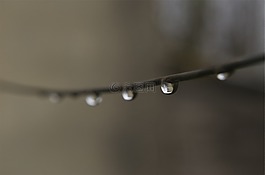 電線,滴,水