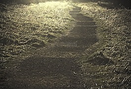 路徑,金,自然