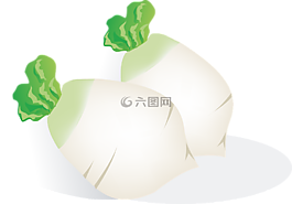 蘿卜,蔬菜,食品