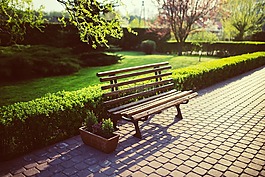 長凳,花園,綠色