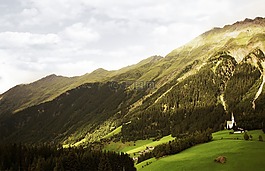 山,側(cè),森林