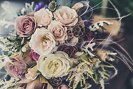 花束,玫瑰,鮮花