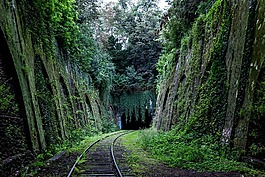 鐵路,火車鐵軌,交通
