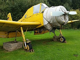 飛機(jī),航空,老