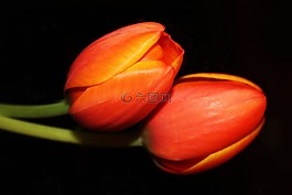 繪畫(huà),油畫(huà),照片油畫(huà)