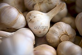 大蒜,丁香,食品