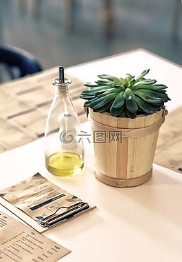 植物,石油,表