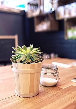 植物,表,糖