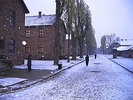 奥斯威辛集中营,雪,冬天