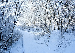 冬天,雪,路径