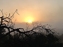 日出,地平線,景觀