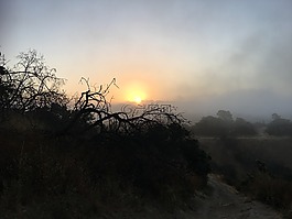 上午,日出,冥想