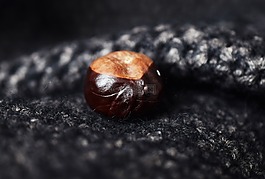 栗子,秋,波