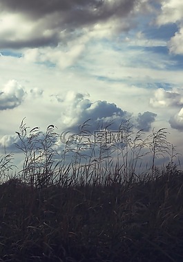 叢集,天空,風景