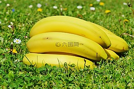 香蕉,水果,食品