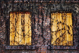 磚,葡萄藤,木材