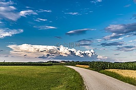 路,天空,字段