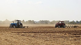 耕地,犁,農業