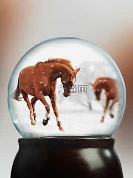 雪球,馬,播放