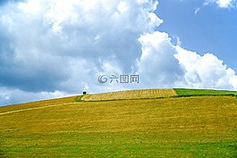 放牧的土地,草甸,角色