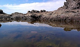 池塘,巖,海