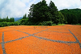 地面,停车场,石头