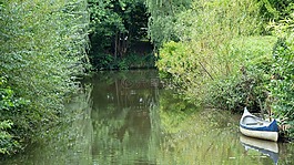 vechte,北角,景觀