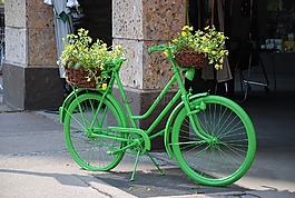 自行車,綠色,鮮花