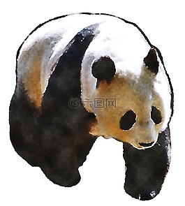 熊貓,水彩畫,oekaki