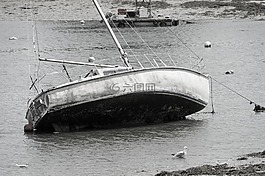 帆船,潮,海