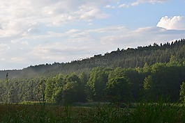 森林,陰霾,景觀