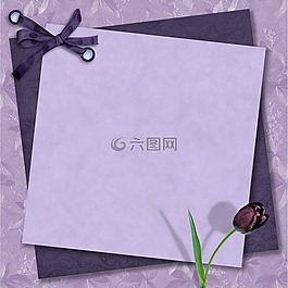 留言簿,紫,郁金香