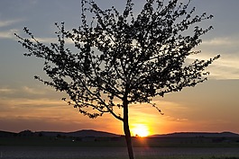 太陽(yáng),夕陽(yáng),日落