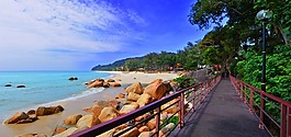 海灘,假期,海