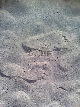 假期,海灘,海洋