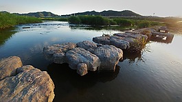 池,水,自然