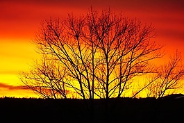 日落,abendstimmung,背景圖像