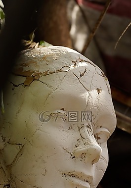 模特,时尚,娃娃