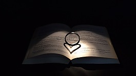 圣經(jīng),環(huán),書