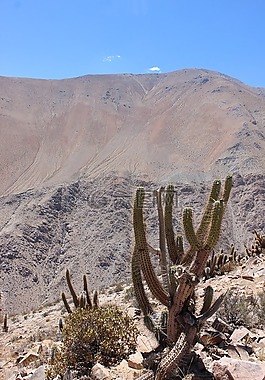山,智利,elqui