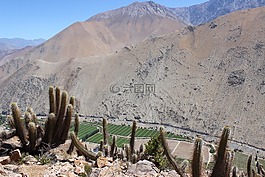山,智利,elqui
